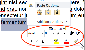 Windows Right-Click Formatting Options