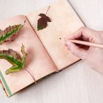 Journal Writing as Therapy